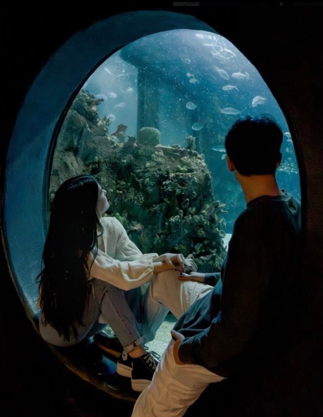 BLOGGER VỀ TÌNH YÊU