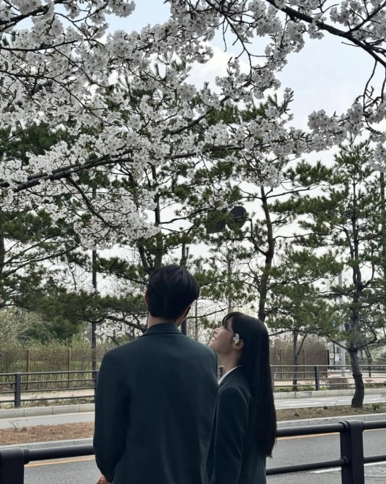 TÌNH YÊU MUỘN MÀNG CỦA LỤC TƯ UYÊN